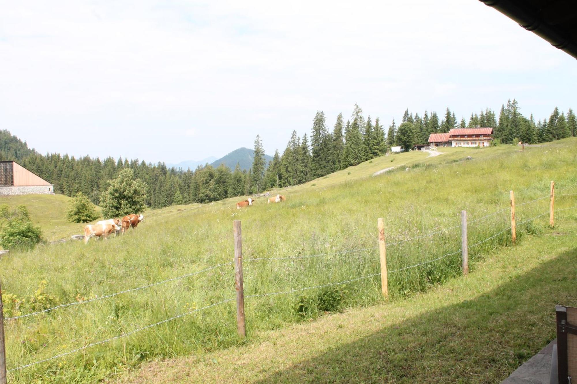 Hotel Winklmoos Sonnenalm Reit im Winkl Exterior foto